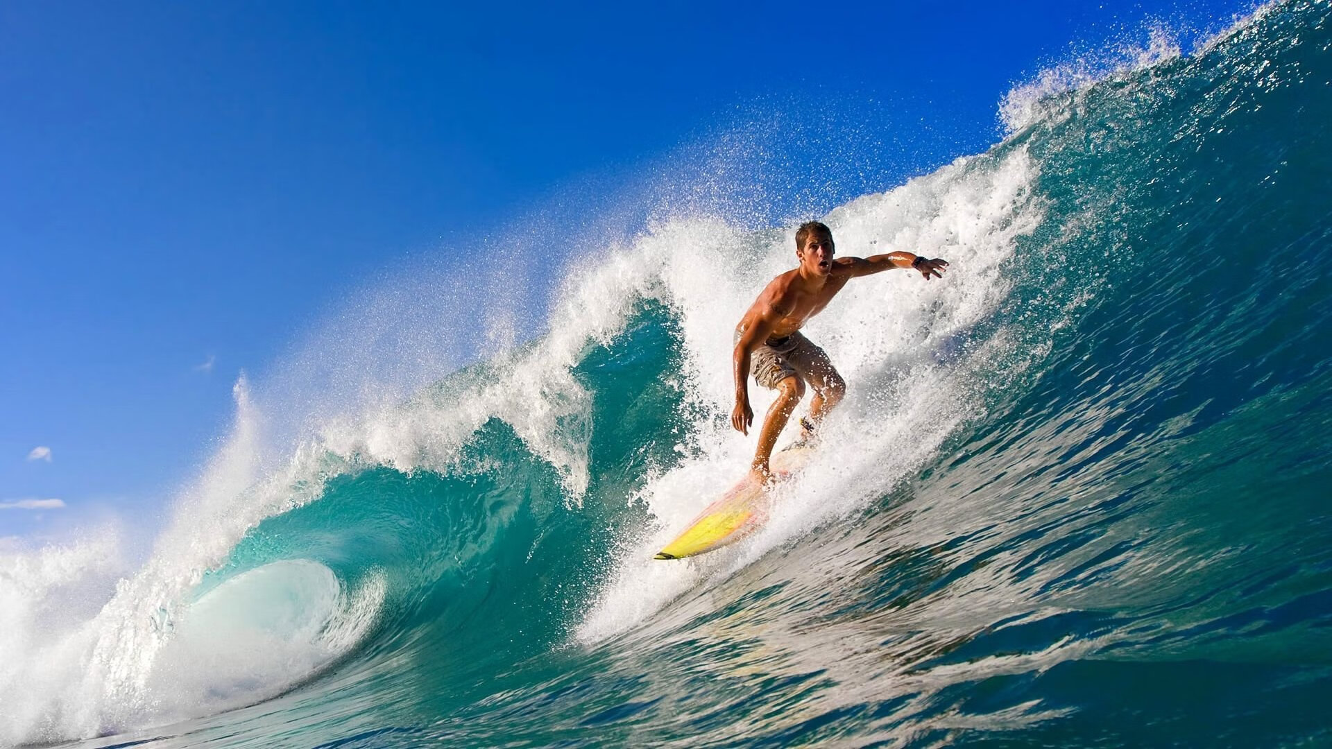 技术雷达图揭示动作动作执行一致性提升，技术雷达什么意思